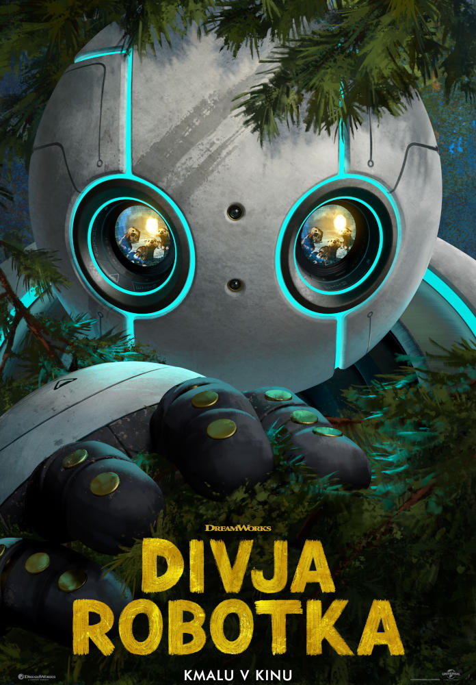 DivjaRobotka poster