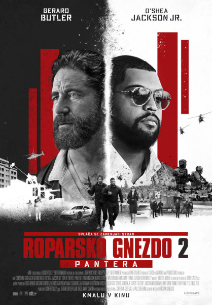 RoparskoGnezdo2 platno poster